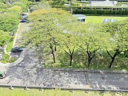 Blk 611 Clementi West Street 1 (Clementi), HDB 3 Rooms #499660111